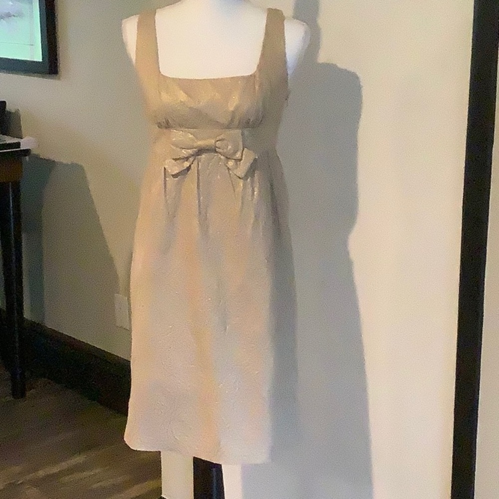 Adrianna Papell Champagne Sleeveless Empire Waist Dress with Bow